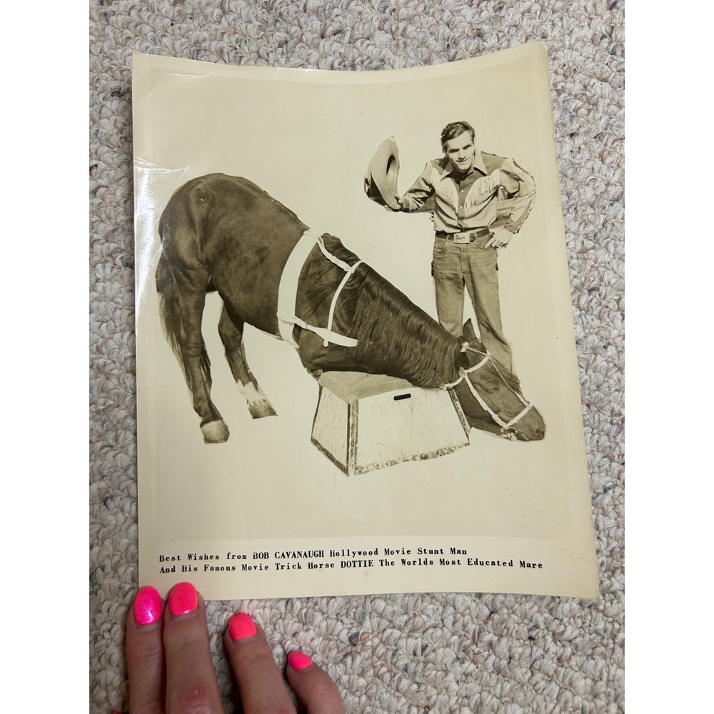 Vintage Bob Cavanaugh Hollywood Stunt Man & Dottie Movie Trick Horse Photo 8x10